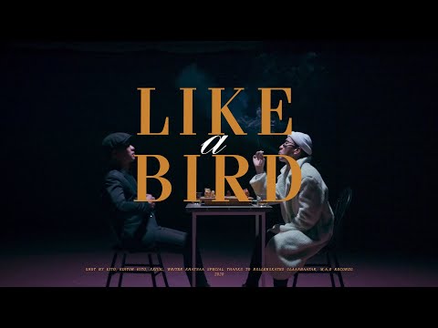 MOLBOYZ | Khatnaa - Like a bird (Official MV)