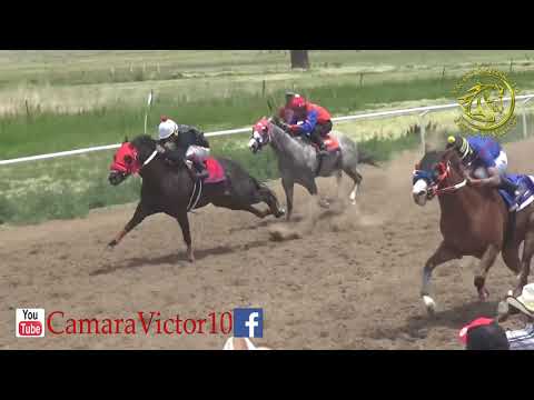 La Segueta E Tercia 150