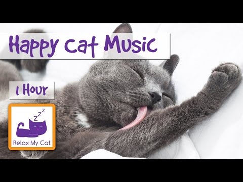Make Your Cat Happy with Soothing Cat Music - Perfect for Anxious and Nervous Cats