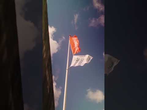 Two fortresses in the flower region | I amsterdam