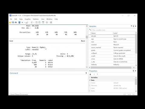 How To Use Stata S Codebook Command