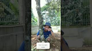 Download lagu Si ece kebelet🤭😂 mp3 Download lagu Si ece kebelet🤭😂 mp3