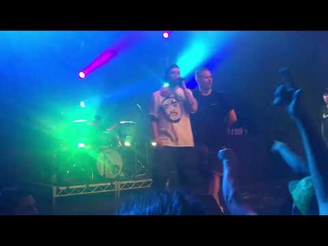 HILLTOP HOODS "Cosby Sweater" live