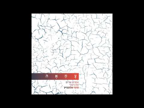 פרוייקט "צמאה" הוא אלוקינו - אריאל זילבר