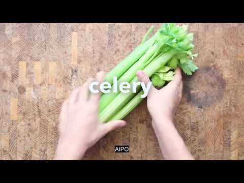 O Médium Médico - Suco de Aipo