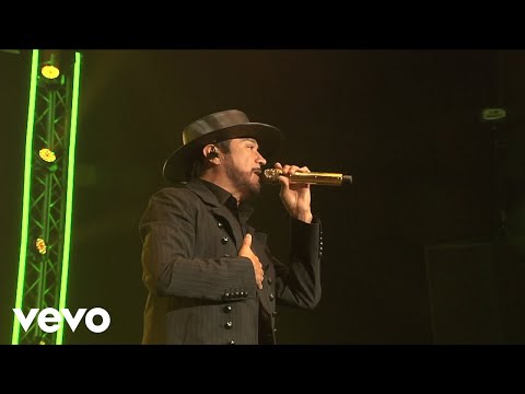 La Mafia - Me Caí De La Nube (En Vivo)