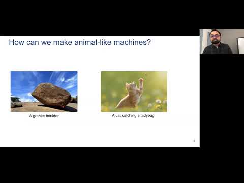 DLRL Summer School 2020 - Emergence of Learning Machines - Rupam Mahmood