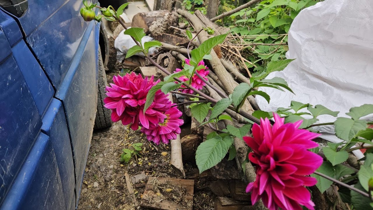 ‼️AMELİYAT SONRASI KARDEŞİMDEN BEKLENMEDİK SÜRPRİZ ‼️