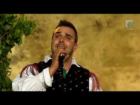 Ansambel Napev - V vetru je tvoj glas