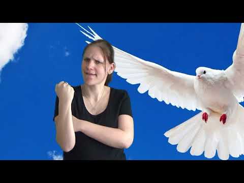 Same stêrk (in gebarentaal)