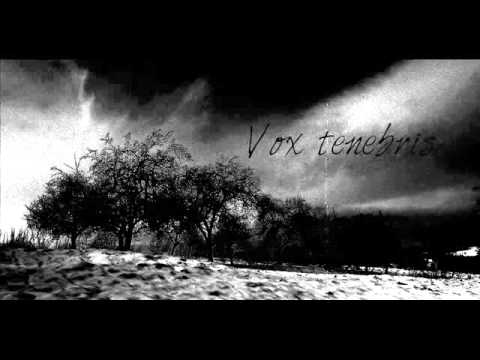 Vox Tenebris - Vox Tenebris - Tenebris disharmonium