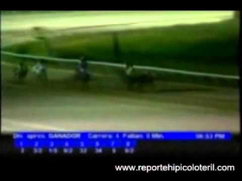 Resumen Viernes 20 de Enero de 2012 - Valencia