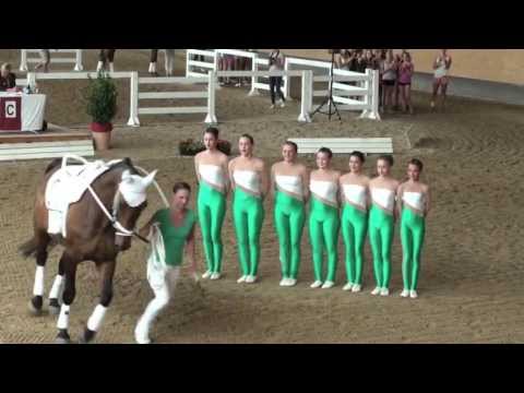 Bayerische Meisterschaften 2013 - Gut Waffenschmiede Junior I
