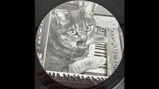 Faceless Mind - Data Kontroll (Legowelt rmx)