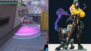 アイスボックス　キルジョイ　最強　防衛側ナノスワーム2種【VALORANT】