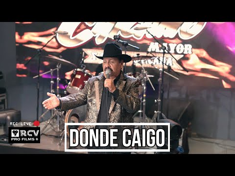 DONDE CAIGO "CHAVA SALAZAR EL CHICANO MAYOR Y SU LEY CHICANA"