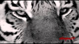 Jimi Jamison - Eye Of The Tiger_____elenpa25_____