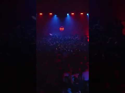 Rene Wise Pushes Boiler Room to the Limit