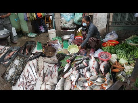 Morning Food Market Scene at Phsa Samaki - Walk Around Street Food @Samaki Market