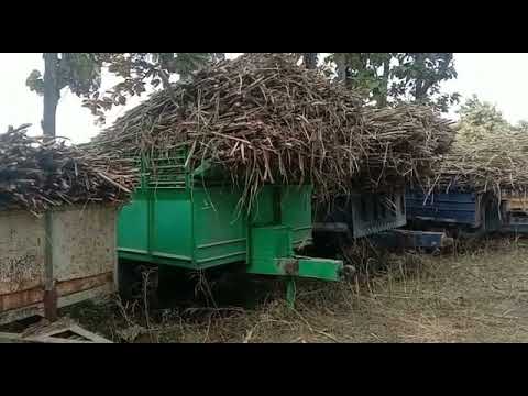 WhatsApp Video 2021 12 24 at 2 02 23 PM