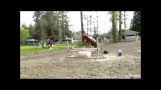 Isaac; he cant be tamed