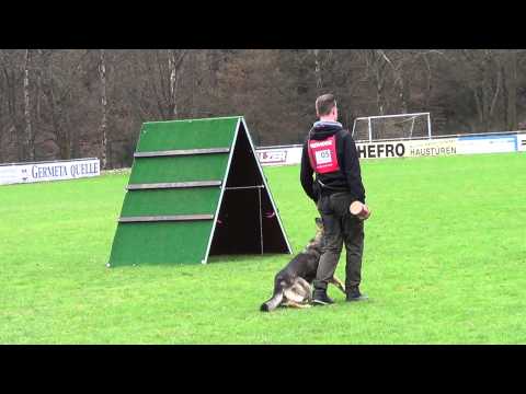 LG FCI 2013 - Jan mit Hex - Unterordnung / 92