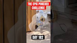 Paradox Rift on Day 182 of The Epic Pokedex Challenge #pokemon #pokemontcg #pokemoncards #pokémon