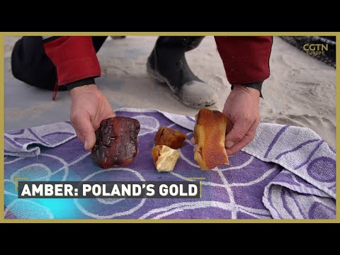 Amber: Poland's Gold