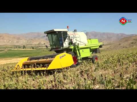 Ailə təsərrüfatları - 21.09.2022