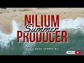 Ara Beni Summer - World Audio Dance Mix (Djemsy) 