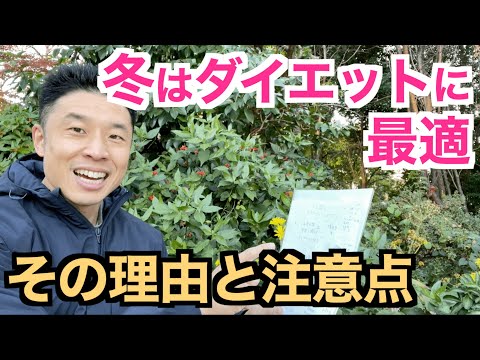 鶏の冬の餌は何ですか？季節を通して体型を維持するための 3 つのプロテイン レシピ  庭園