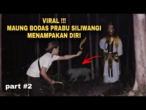 🔴 THE APPEARANCE OF THE WHITE TIGER OF KING SILIWANGI IN CENTRAL JAVA ‼️ AFTER THE DISCOVERY OF H...