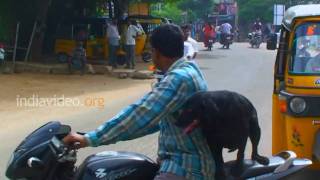 Boy, is she ready for a ride!