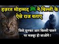 Hazrat Mohammad ﷺ Ne Billi Ke Barey Mein Kya Farmaya Hai Cat Noore Hadees