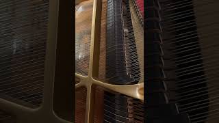 Download lagu Sweet Dreams – J-Hope ft. Miguel | Piano Cover 🌙✨ #SweetDreams #JHope #JHopeSweetDreams #BTS #miguel mp3 Download lagu Sweet Dreams – J-Hope ft. Miguel | Piano Cover 🌙✨ #SweetDreams #JHope #JHopeSweetDreams #BTS #miguel mp3