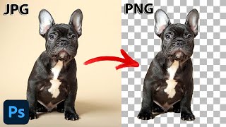 How to Remove Background or Make PNG Transparent in Photoshop From Jpeg in 2023