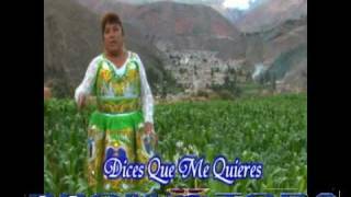 preview picture of video 'PALOMA  TARMEÑA - DICES  QUE  ME   QUIERES'