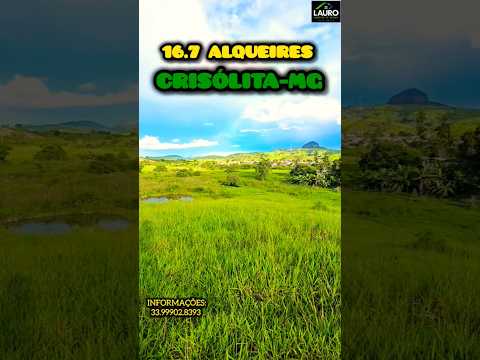 ✨️FAZENDA RIO NEGRO 16.7 ALQUEIRES VENDA PORTEIRA FECHADA 50 VACAS 30 BEZERROS 10 ANIMAIS LIDA✨️