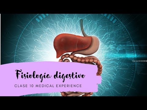 Clase 10 Fisiología digestivo parte 2