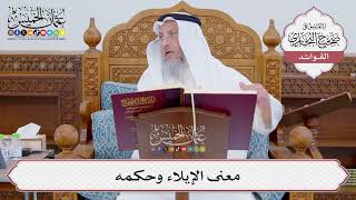 [830] معنى الإيلاء وحكمه - عثمان الخميس
