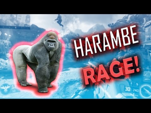 HILARIOUS Bo3 RageTage Ep 2 HARAMBE RAGE! (RIP HEADPHONES)