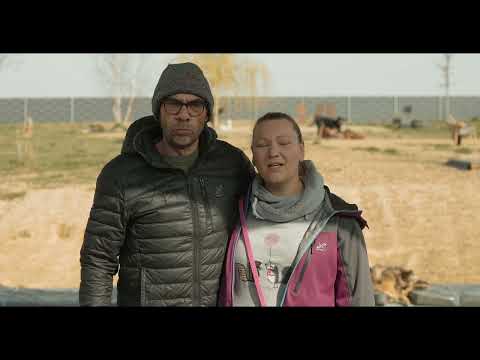 TomDog Hundeschule und Hundehort Leingarten