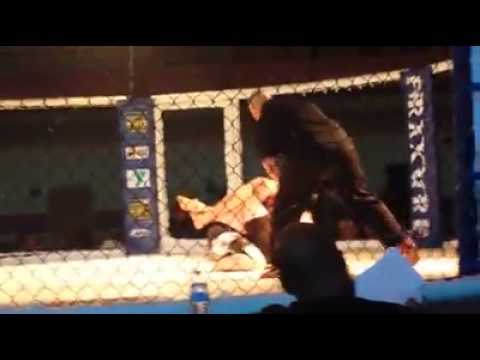 Lionheart vs. Brian ewc3