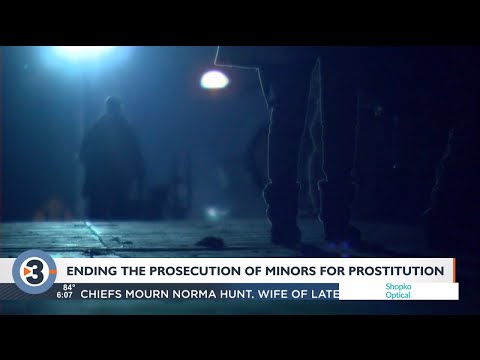 Prostitution Wisconsin State Law Guide Update