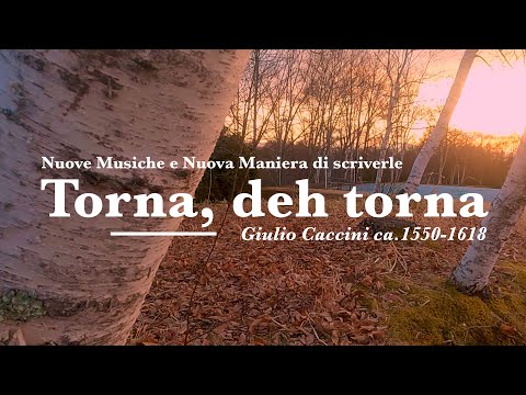 Video thumbnail for Torna, deh torna