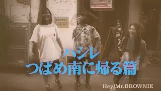 ハシレ！ 燕　ツバメ　南に帰る篇　吉備中央町　「しんまちTV」meets "Hey! Mr. BROWNIE" with