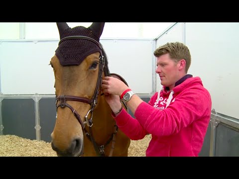 Competition Grooms - Everything you Need To Know | The Grooms List