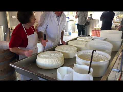 Day 98: Ragusano from Ragusa