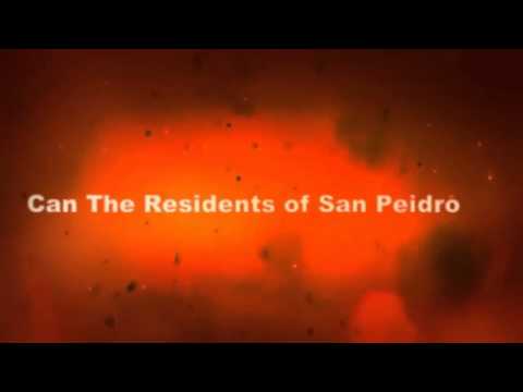 Snow Falling On Cedars Book Trailer