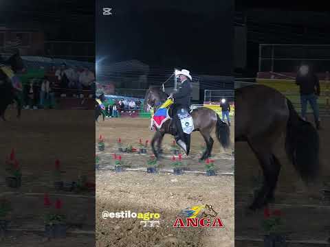 TOKIO DE LINDARES Gran campeón de #trocha Exposición Equina grado B de Granada Cundinamarca 2026